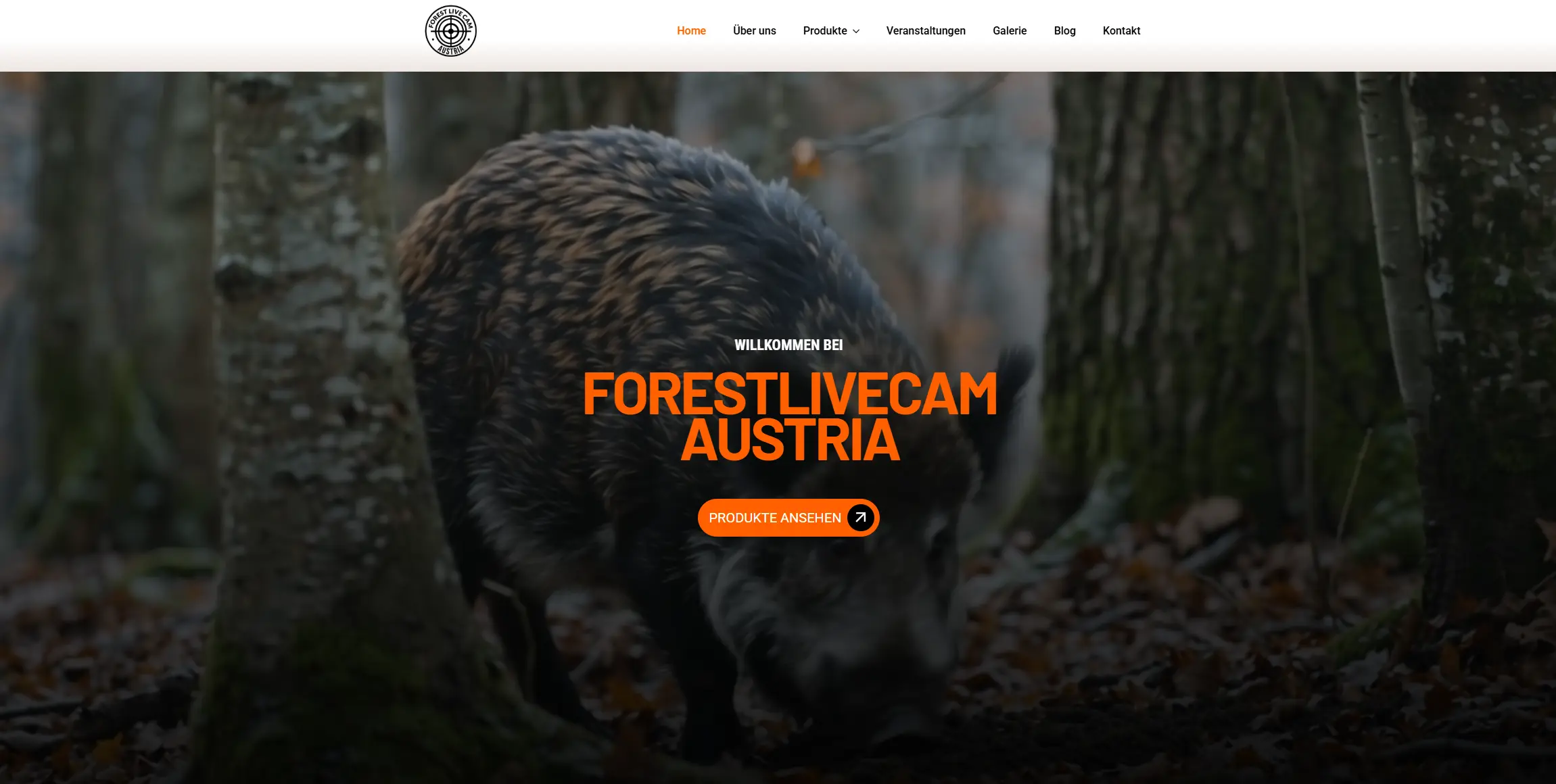 Website von Forestlivecam